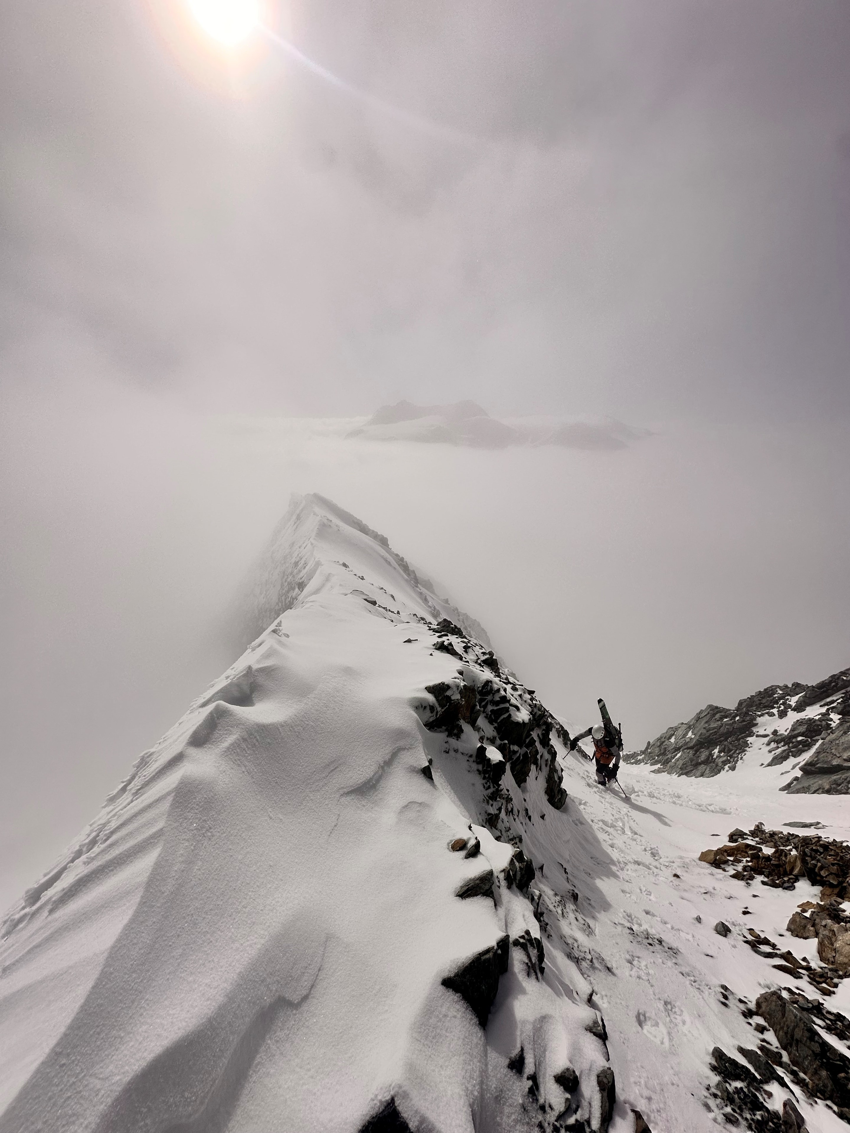 Paesaggio alpino nebbioso